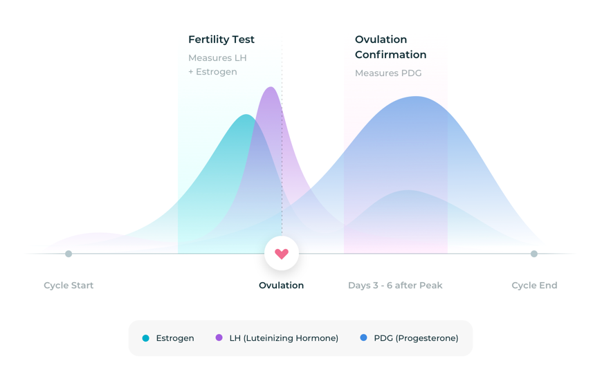 Inito Fertility Monitor Track fertile days and also confirm if you