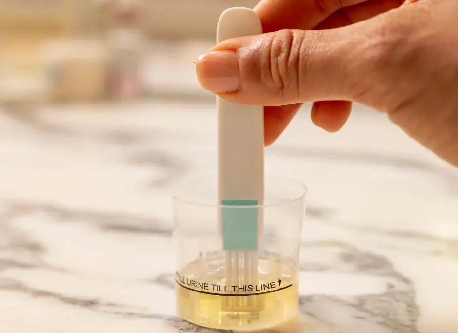  Dip the Fertility Strip in urine for 15 secs